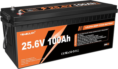 24V 100Ah Lifepo4 Lithium Battery with 100A BMS 2560Wh 15000+ Deep Cycles
