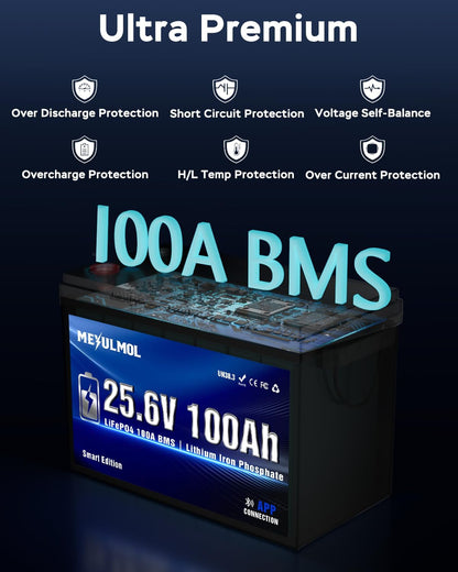 24V 100Ah Lifepo4 Lithium Battery with APP Monitoring, 100A BMS, 2560Wh Energy, Expandable to 2S4P, 5000+ Cycles,Low-Temp Protection, for RV, Solar, Trolling Motor, Camping, Off-Grid & Home Backup
