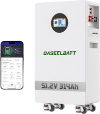 51.2V 314Ah Lifepo4 Battery,16.07Kwh with 200A Active Balancing BMS,LCD Touchscreen for Home Solar Backup off Grid System